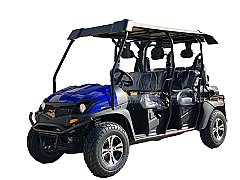 Gas Golf Cart