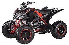 Adult ATV: 150cc & Up