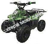 Panther Kids 110cc ATV  Youth Quad With Parent Remote Control