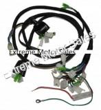 Hammerhead 250cc Go Cart Kart Super Sport Rear Wiring Harness