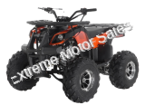 Apollo Focus 125cc Kid ATV Utility Style Kids Fully Automatic Quad