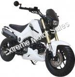 Fuerza PMZ125-1 |125cc Motorcycle | 125cc | Mini Moto | Grom Copy