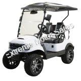 Massimo MGC2 48v Electric Vehicle Golf Cart Electric- 2 Seat