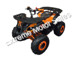 Mini Desert 125cc Utility Quad Electric Start Fully Auto w/Reverse ATV