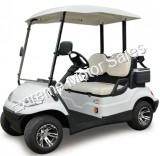 ICON i20 Electric Street Legal Golf Cart 2 Seat Neighborhood Vehicle