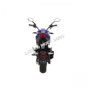 Wolf Striker 125cc | Mini Moto 4 Speed Motorcycle Grom Copy