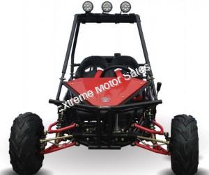 RAIDER 125cc Kids Go Cart Go Kart Dune Buggy 2 Seater