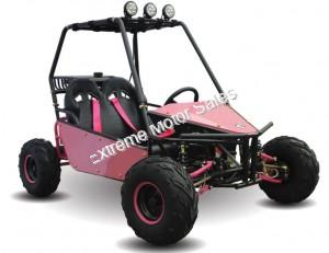 RAIDER 125cc Kids Go Cart Go Kart Dune Buggy 2 Seater