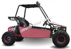 RAIDER 125cc Kids Go Cart Go Kart Dune Buggy 2 Seater