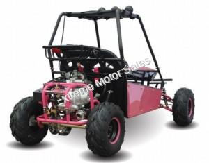 RAIDER 125cc Kids Go Cart Go Kart Dune Buggy 2 Seater