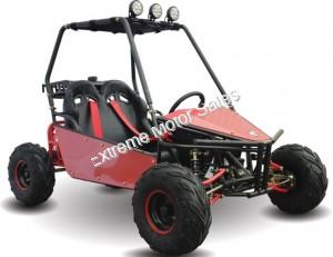 RAIDER 125cc Kids Go Cart Go Kart Dune Buggy 2 Seater