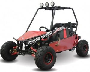 RAIDER 125cc Kids Go Cart Go Kart Dune Buggy 2 Seater