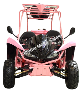 Rider GK125T 125cc Kids Go Cart Go Kart Off Road Buggy Youth