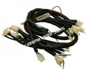 Universal Main Wiring Harness Sunny 49cc 50cc QMB Scooter