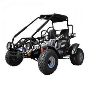 Trailmaster 200E XRS Go Cart Go Kart EFI Fully Automatic Buggy