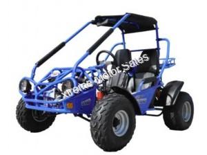 Trailmaster 200E XRS Go Cart Go Kart EFI Fully Automatic Buggy