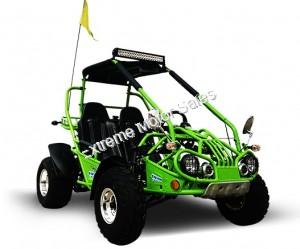 Trailmaster 200E XRX Go Cart Go Kart Dune Buggy 200cc Adult Size