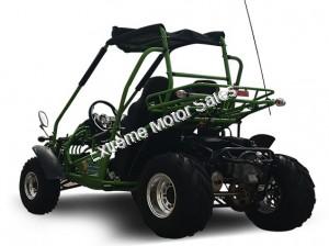 Trailmaster 200E XRX Go Cart Go Kart Dune Buggy 200cc Adult Size