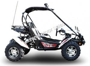 TrailMaster Blazer 200X Go Kart For Sale | Buggy | Offroad LED Light