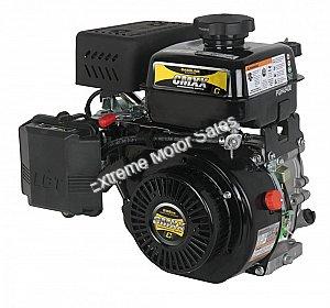 LCT Engine - MudHead 208cc Electric Start Hammerhead Trailmaster