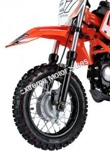 XMoto DBX27 90cc Kids Dirt Bike Fully Automatic with Speed Governor