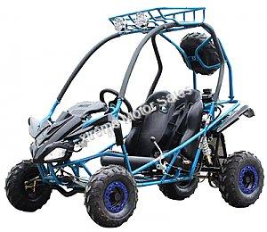 Snake Eyes 125cc Kids Go Cart Off Road Buggy Youth Go Kart 2 Seat