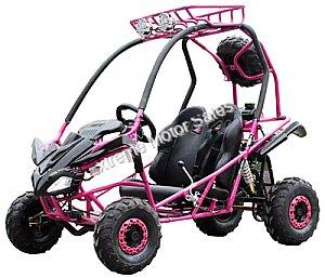 Snake Eyes 125cc Kids Go Cart Off Road Buggy Youth Go Kart 2 Seat