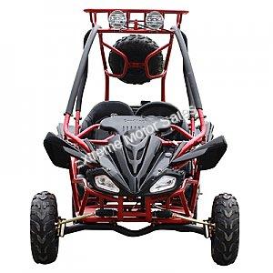 Snake Eyes 125cc Kids Go Cart Off Road Buggy Youth Go Kart 2 Seat