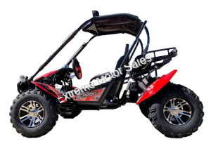 Trailmaster Blazer 200EX Buggy Go Kart EFI | Extreme Motor Sales