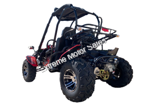 Trailmaster Blazer 200EX Buggy Go Kart EFI | Extreme Motor Sales