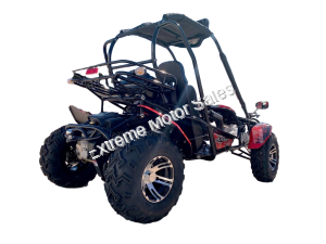 Trailmaster Blazer 200EX Buggy Go Kart EFI | Extreme Motor Sales