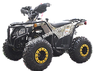 Extreme DF200ATS 200cc ATV Quad Full Size Utility 4 Wheeler