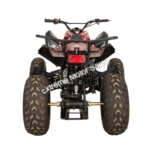 Extreme RPS TK200-CS 200cc ATV Quad Full Size Sport 4 Wheeler