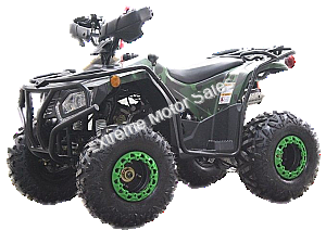 Extreme DF200ATS 200cc ATV Quad Full Size Utility 4 Wheeler