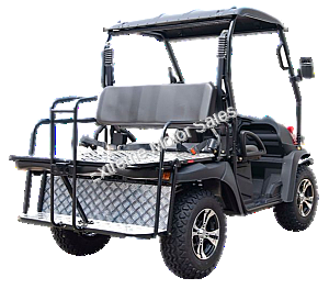 HJS Bighorn 200 GVXL-T DF 200cc Utility Vehicle SxS UTV Gas Golf Cart