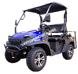 HJS Bighorn 200 GVXL-T DF 200cc Utility Vehicle SxS UTV Gas Golf Cart