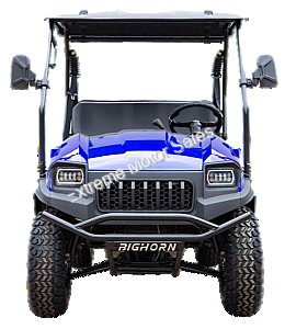 HJS Bighorn 200 GVXL-T DF 200cc Utility Vehicle SxS UTV Gas Golf Cart