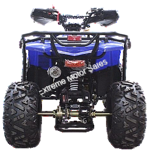 Extreme DF200ATS 200cc ATV Quad Full Size Utility 4 Wheeler