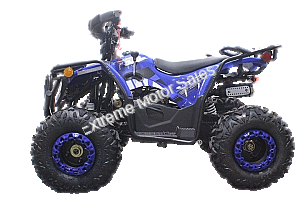 Extreme DF200ATS 200cc ATV Quad Full Size Utility 4 Wheeler