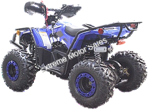 Extreme DF200ATS 200cc ATV Quad Full Size Utility 4 Wheeler