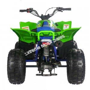 Pentora 125cc ATV Kids Quad Automatic with Reverse Carbureted Model