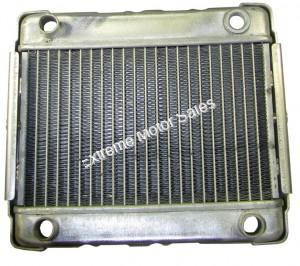 Tank Touring 250cc Scooter Radiator Water Cooled GY6