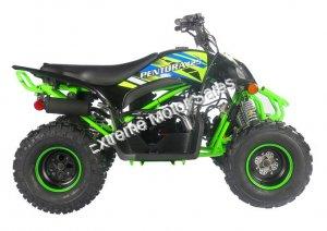 Pentora 125cc ATV Kids Quad Automatic with Reverse Carbureted Model