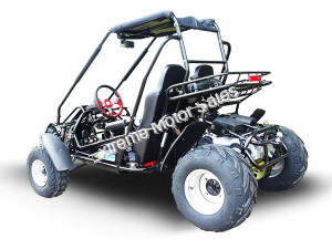 Trailmaster 300 XRSE EFI Go Cart Kart Dune Buggy 300cc Liquid Cooled