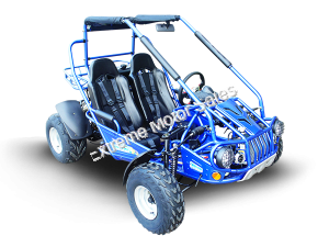 Trailmaster 300 XRSE EFI Go Cart Kart Dune Buggy 300cc Liquid Cooled