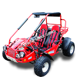 Trailmaster 300 XRSE EFI Go Cart Kart Dune Buggy 300cc Liquid Cooled