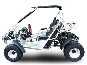 Trailmaster 300 XRSE EFI Go Cart Kart Dune Buggy 300cc Liquid Cooled