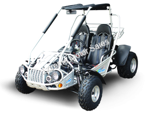 Trailmaster 300 XRSE EFI Go Cart Kart Dune Buggy 300cc Liquid Cooled