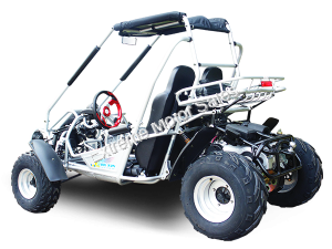 Trailmaster 300 XRSE EFI Go Cart Kart Dune Buggy 300cc Liquid Cooled