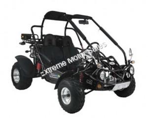 Trailmaster 300 XRX-E EFI Go Cart Go Kart Dune Buggy 300cc Adult Size